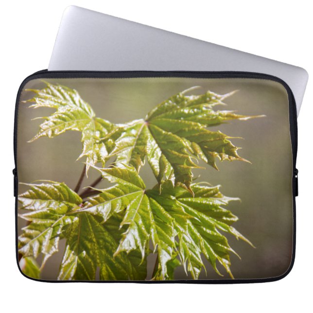 かわいい緑のカエデの枝葉小 ラップトップスリーブ (正面)