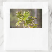 かわいい緑のカエデの枝葉小 長方形シール (バッグ)