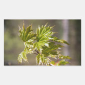 かわいい緑のカエデの枝葉小 長方形シール (正面)