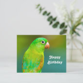 かわいい緑のパラオの写真の誕生日 ポストカード (スタンド正面)