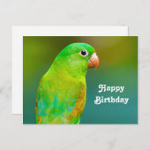 かわいい緑のパラオの写真の誕生日 ポストカード (正面/裏面)