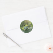かわいい緑の木のカエル 葉 ラウンドシール (封筒)