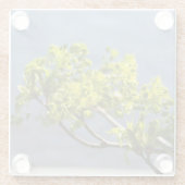 かわいい緑の枝が風に ガラスコースター (裏面)