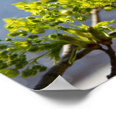 かわいい緑の枝が風に ポスター (角)