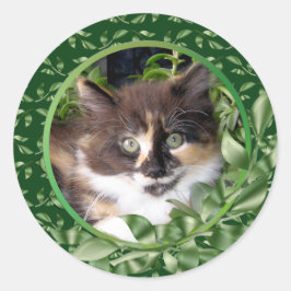 かわいい緑の目の三毛猫の子猫 ラウンドシール