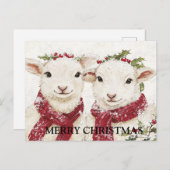 かわいい羊たち2 ポストカード (正面/裏面)