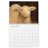 かわいい羊のカレンダー カレンダー (1月 2027)