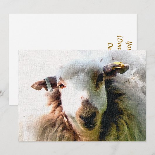 かわいい羊の招待状 (正面/裏面)