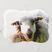 かわいい羊の招待状 (正面/裏面)