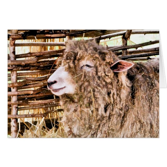 かわいい羊 (正面横)