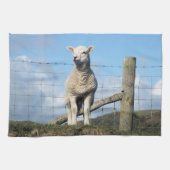 かわいい羊 キッチンタオル (横)