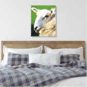 かわいい羊 キャンバスプリント (インサイチュ (寝室))