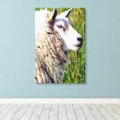 かわいい羊 キャンバスプリント (インサイチュ (ウッドフロア))