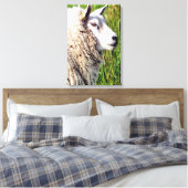 かわいい羊 キャンバスプリント (インサイチュ (寝室))