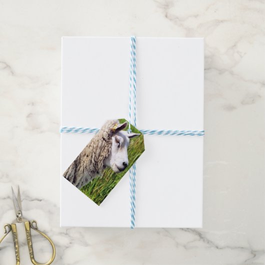 かわいい羊 ギフトタグ (より糸付き)