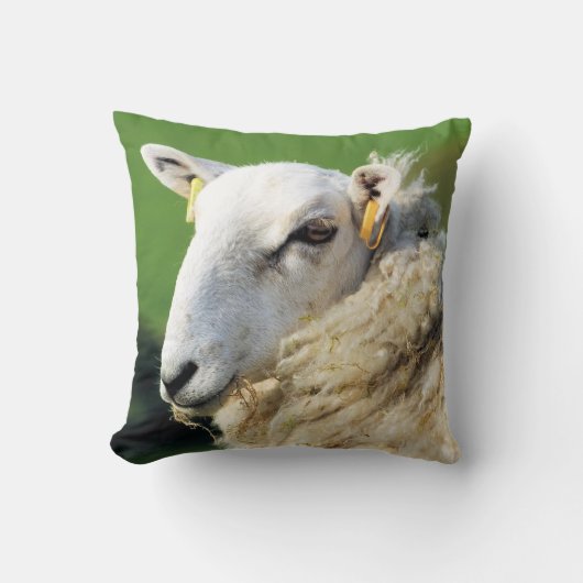 かわいい羊 クッション (正面)