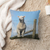 かわいい羊 クッション (ブランケット)