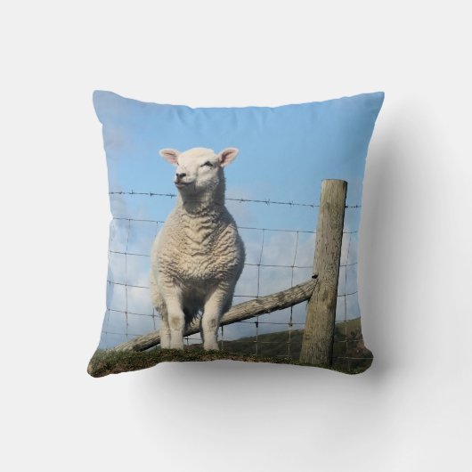 かわいい羊 クッション (裏面)