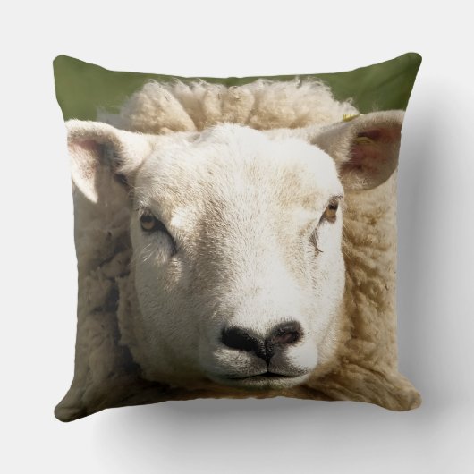 かわいい羊 クッション (裏面)