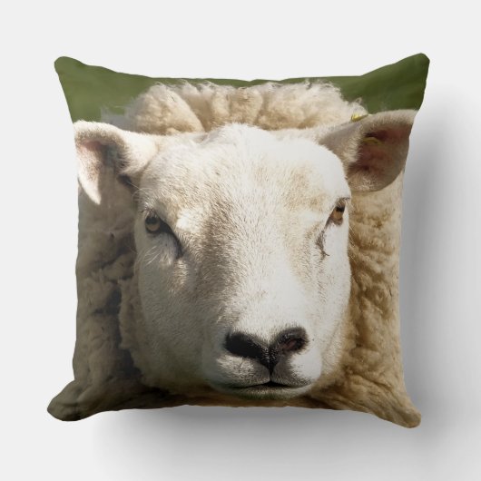 かわいい羊 クッション (正面)