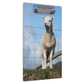 かわいい羊 クリップボード (右)