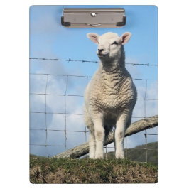 かわいい羊 クリップボード