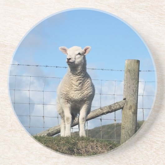 かわいい羊 コースター (正面)