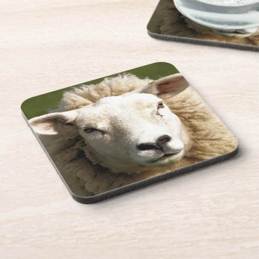 かわいい羊 コースター (左側)