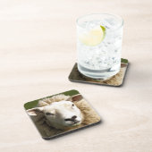 かわいい羊 コースター (右側)