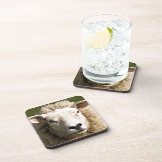 かわいい羊 コースター (右側)