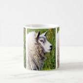 かわいい羊 コーヒーマグカップ (中央)