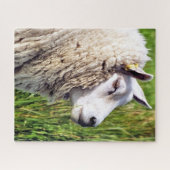 かわいい羊 ジグソーパズル (横)