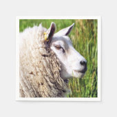 かわいい羊 スタンダードカクテルナプキン (正面)