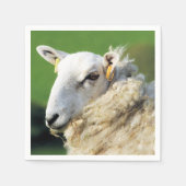 かわいい羊 スタンダードカクテルナプキン (正面)