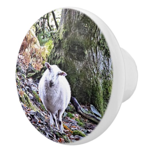 かわいい羊 セラミックノブ (右)