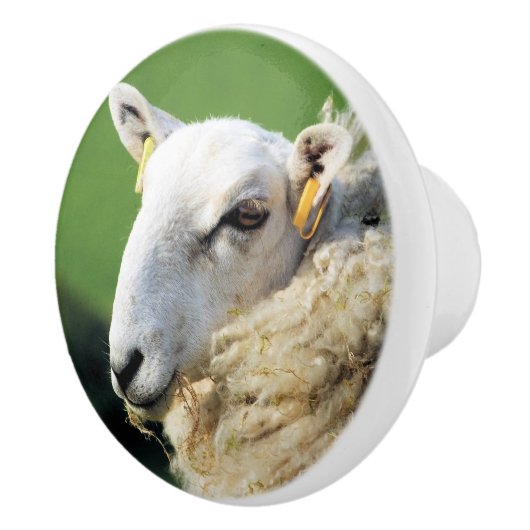 かわいい羊 セラミックノブ (右)