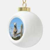 かわいい羊 セラミックボールオーナメント (右)