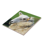 かわいい羊 タイル (側面)