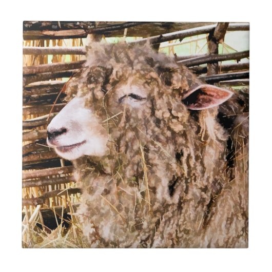 かわいい羊 タイル (正面)