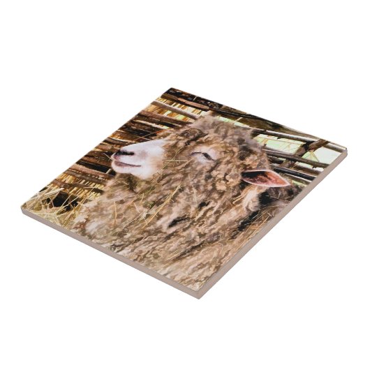 かわいい羊 タイル (側面)