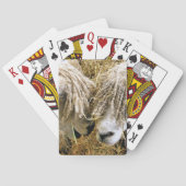 かわいい羊 トランプ (裏面)