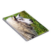 かわいい羊 ノートブック (右側)