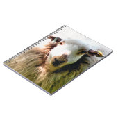 かわいい羊 ノートブック (左側)