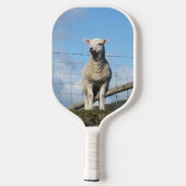 かわいい羊 ピックルボールラケット (裏面)