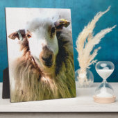 かわいい羊 フォトプラーク (側面)