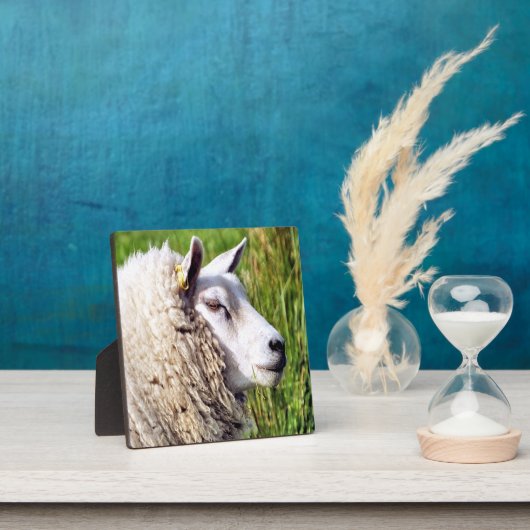 かわいい羊 フォトプラーク (インサイチュ)