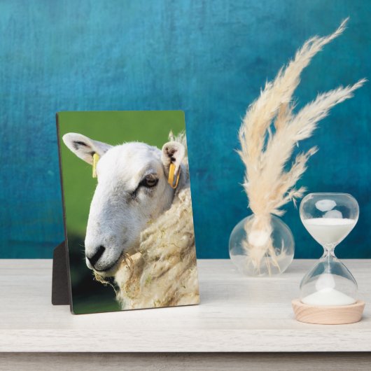 かわいい羊 フォトプラーク (側面)