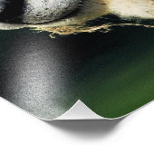 かわいい羊 フォトプリント            (角)