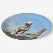 かわいい羊 ペーパープレート (アングル)