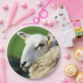 かわいい羊 ペーパープレート (パーティー)